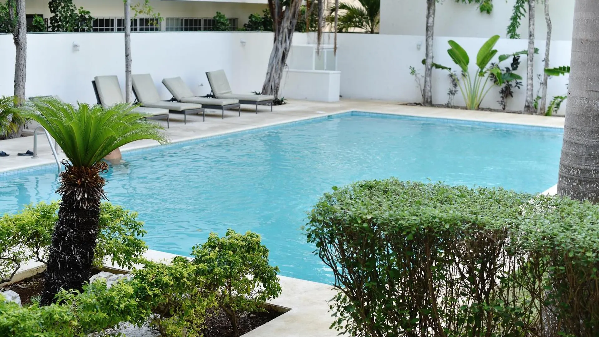 Apartment Pablos At The Beach Playa del Carmen Mexico